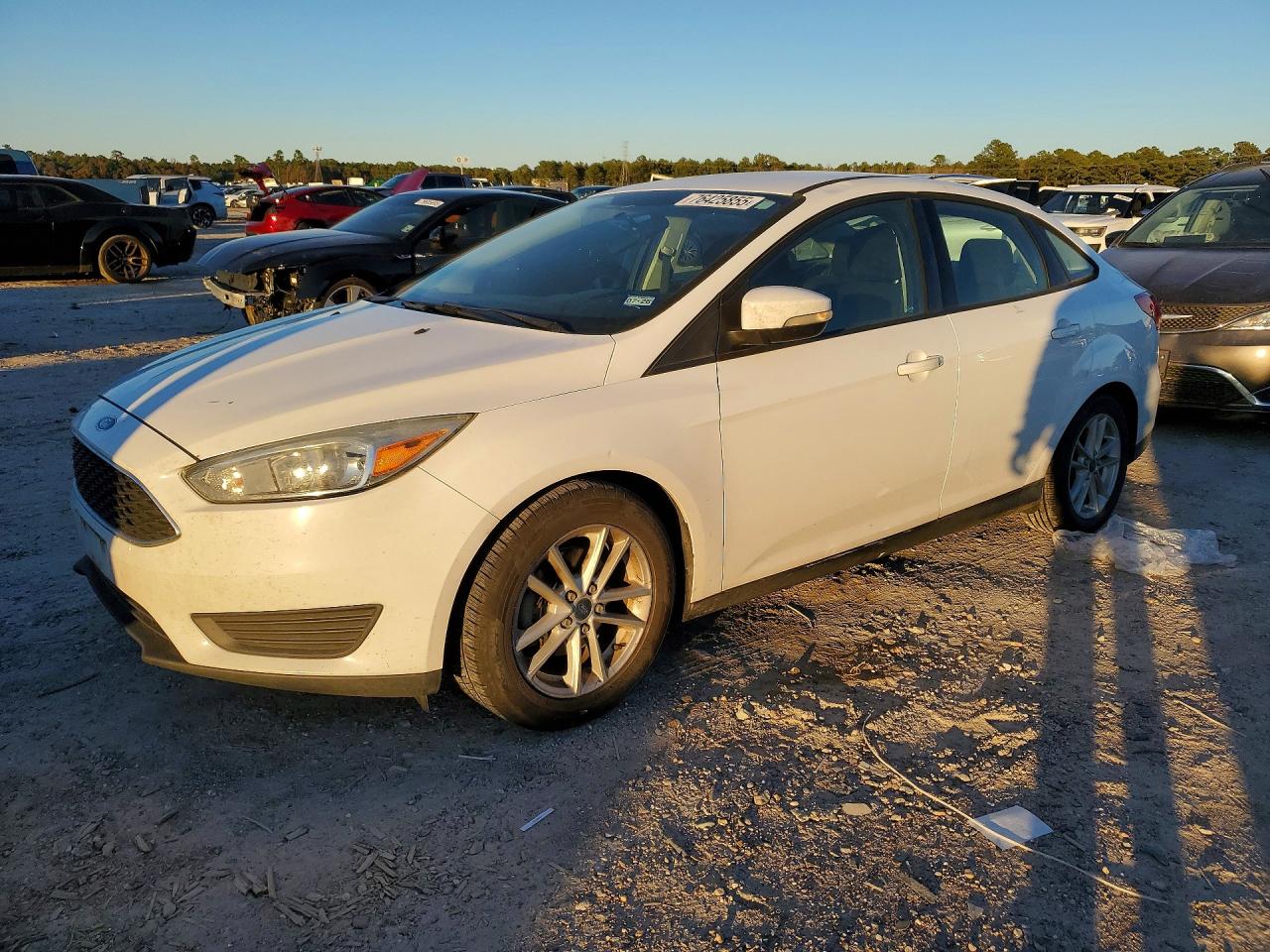 Salvage Ford Focus Image
