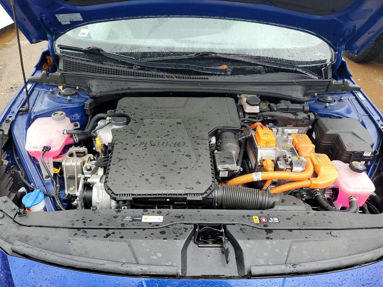 Hyundai ELANTRA Blue