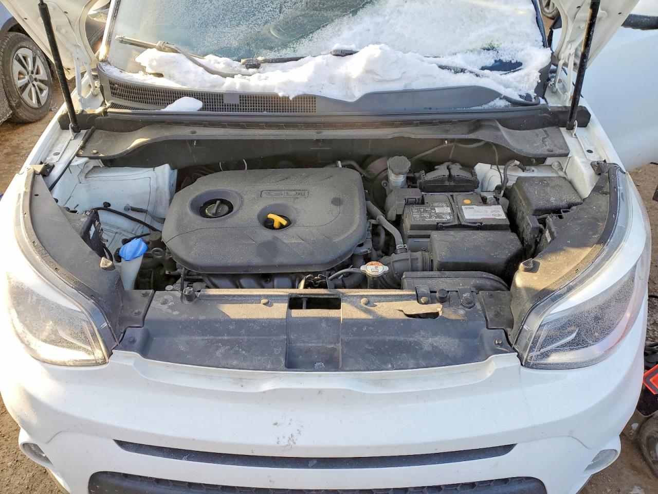 Kia Soul +
