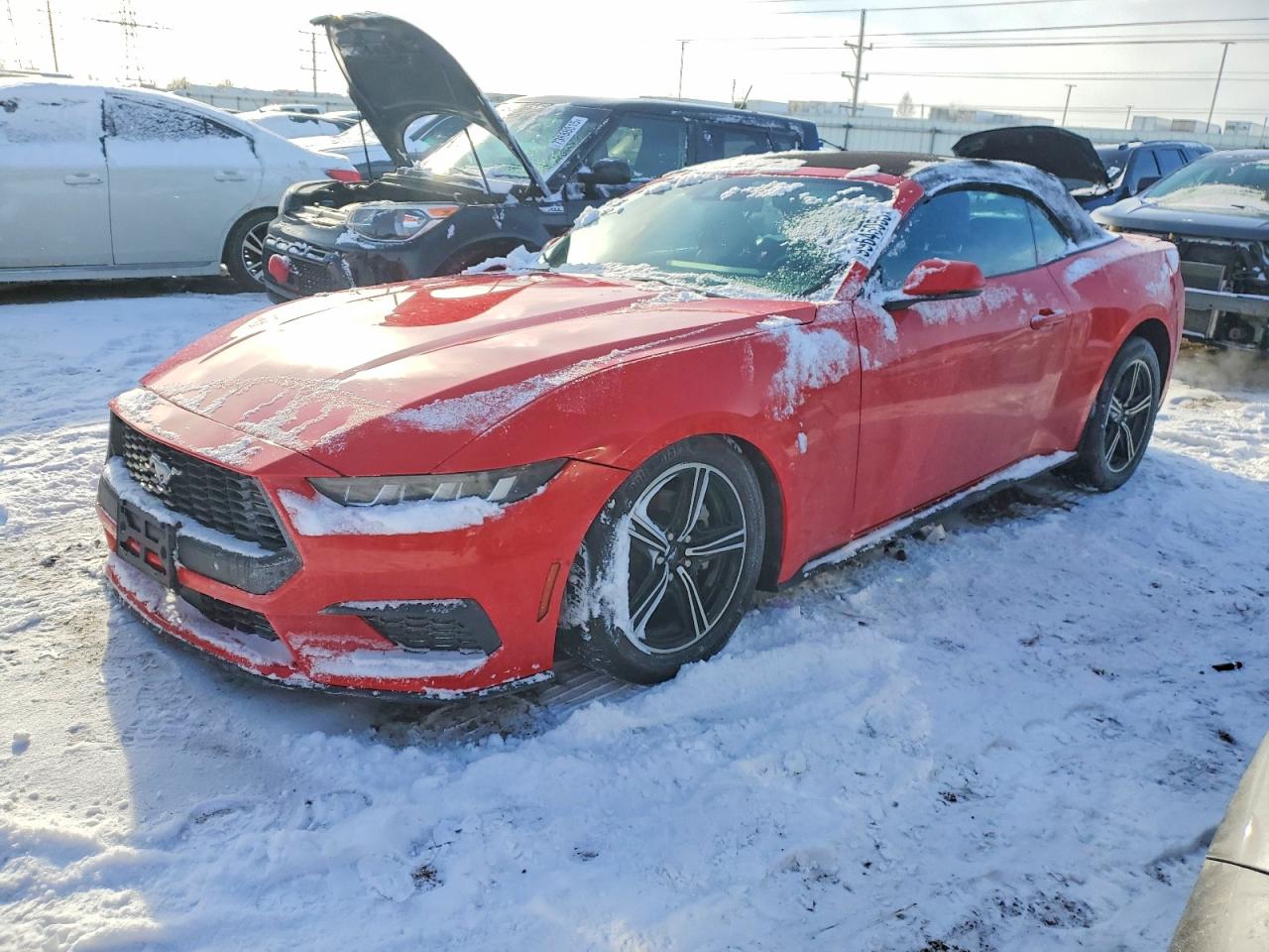 Salvage Ford Mustang Image