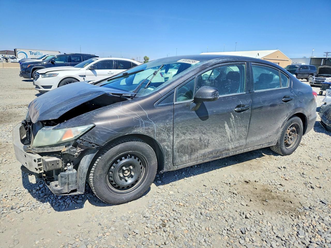 Salvage Honda Civic Image