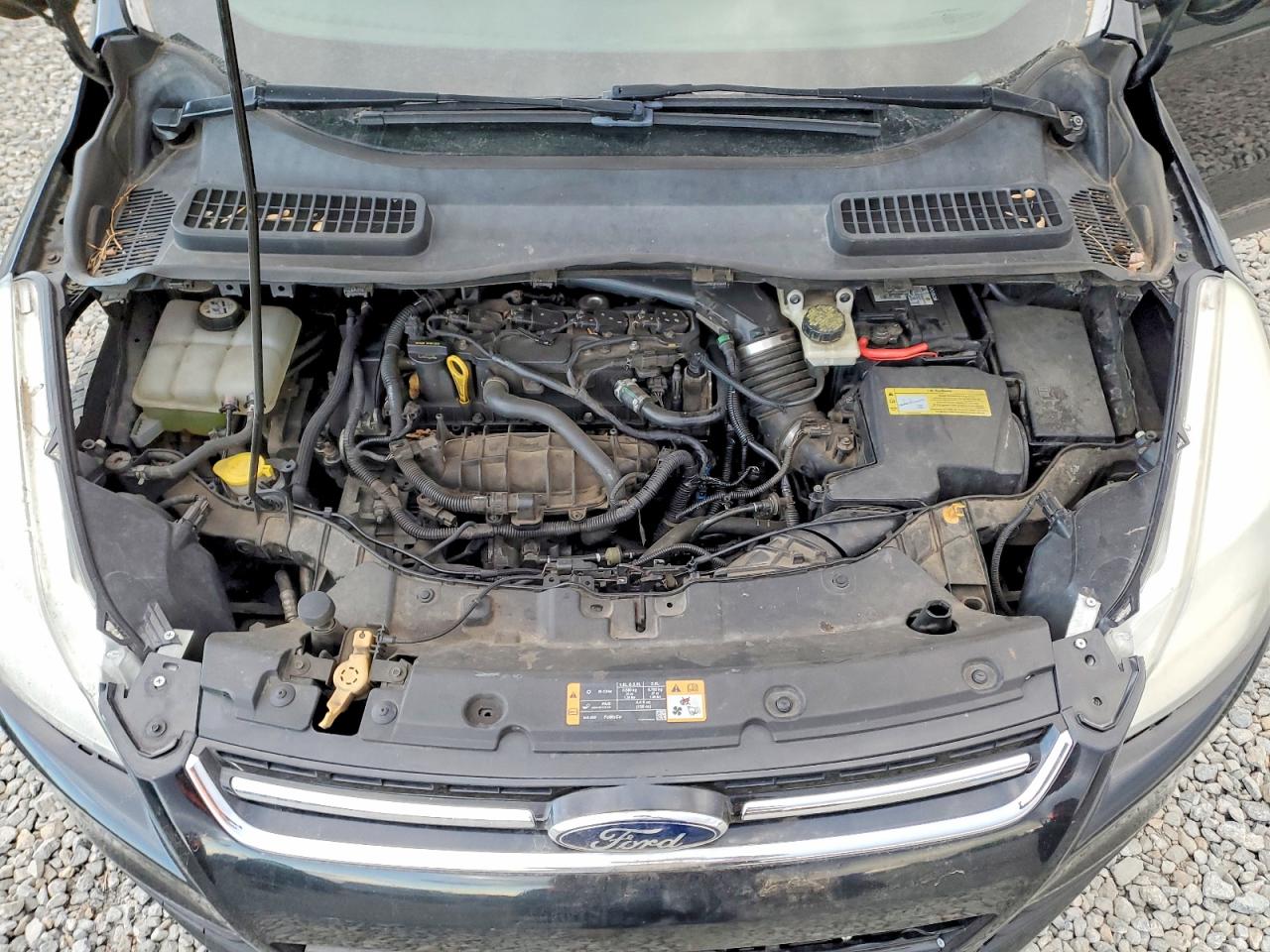 Ford Escape Sel