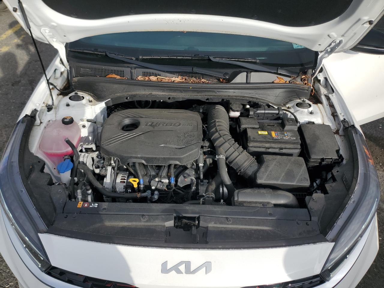 Kia Forte Gt
