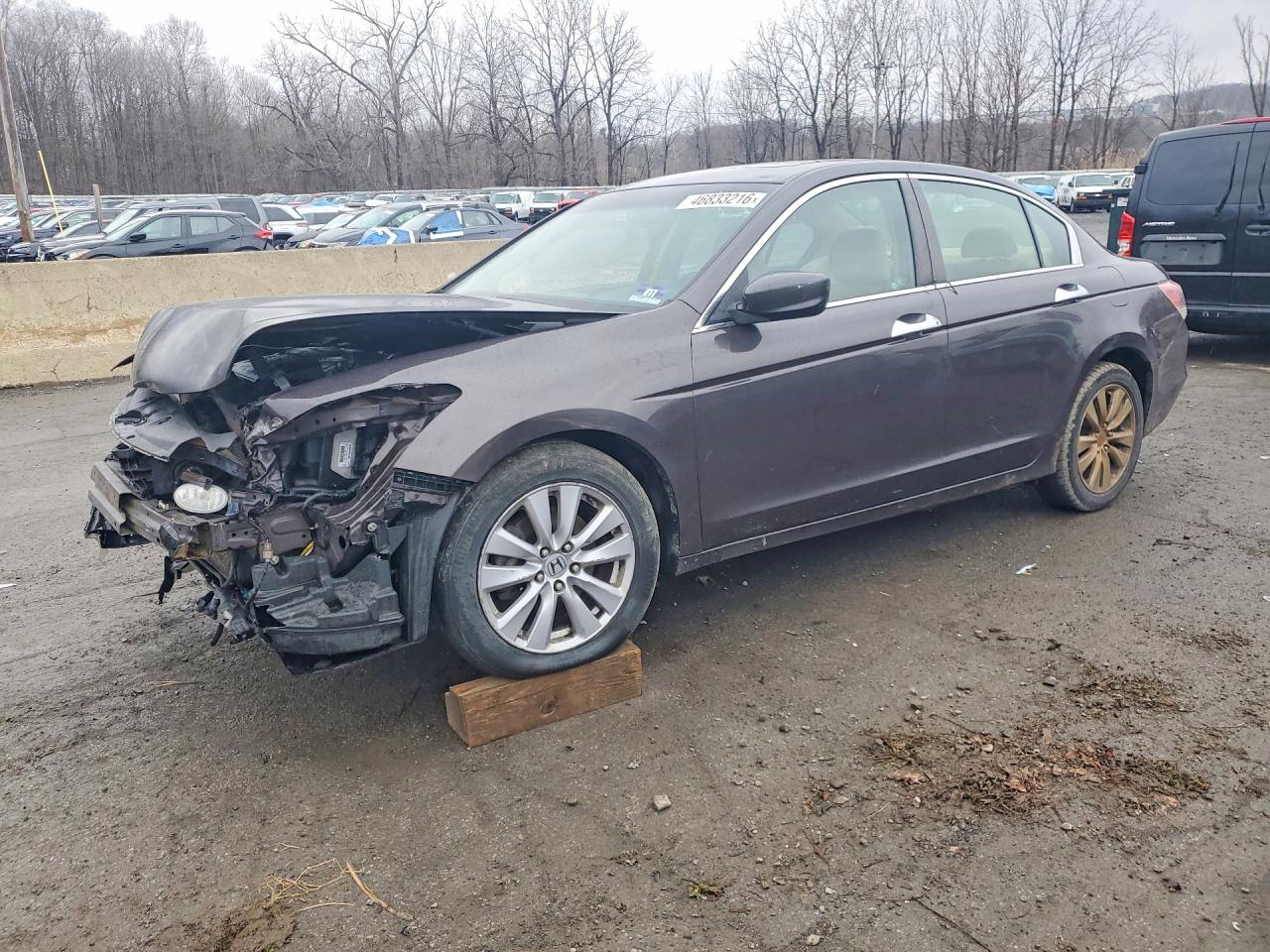 Salvage Honda Accord Image