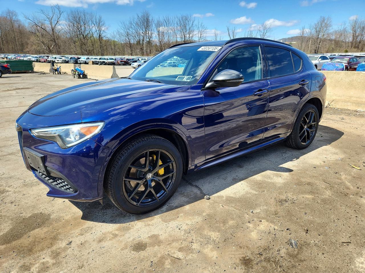 Salvage Alfa Romeo Stelvio Image