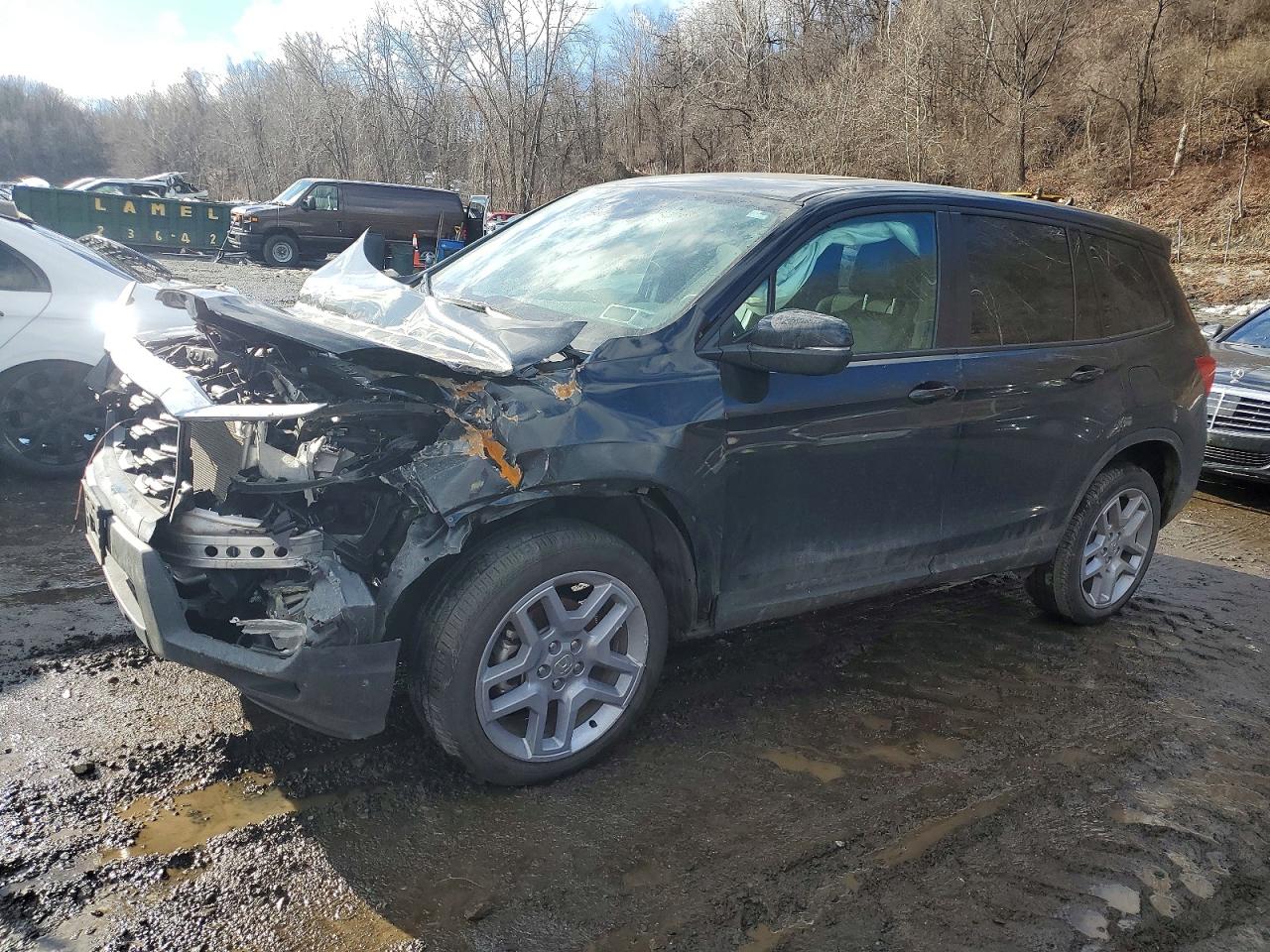 Salvage Honda Passport Image