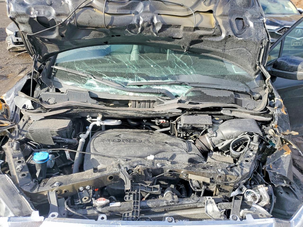 Honda Passport Exl