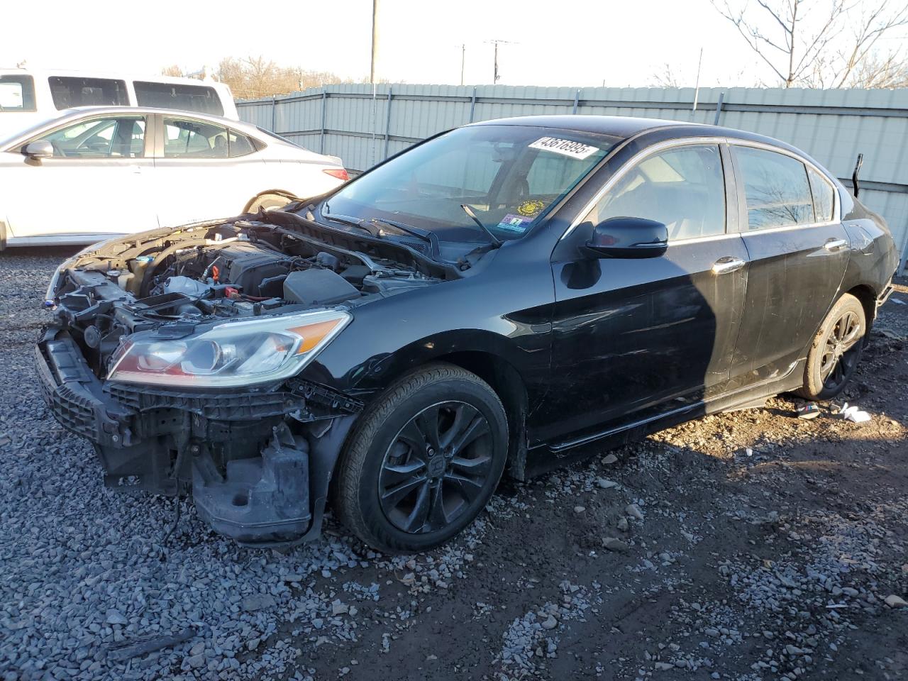 Salvage Honda Accord Image