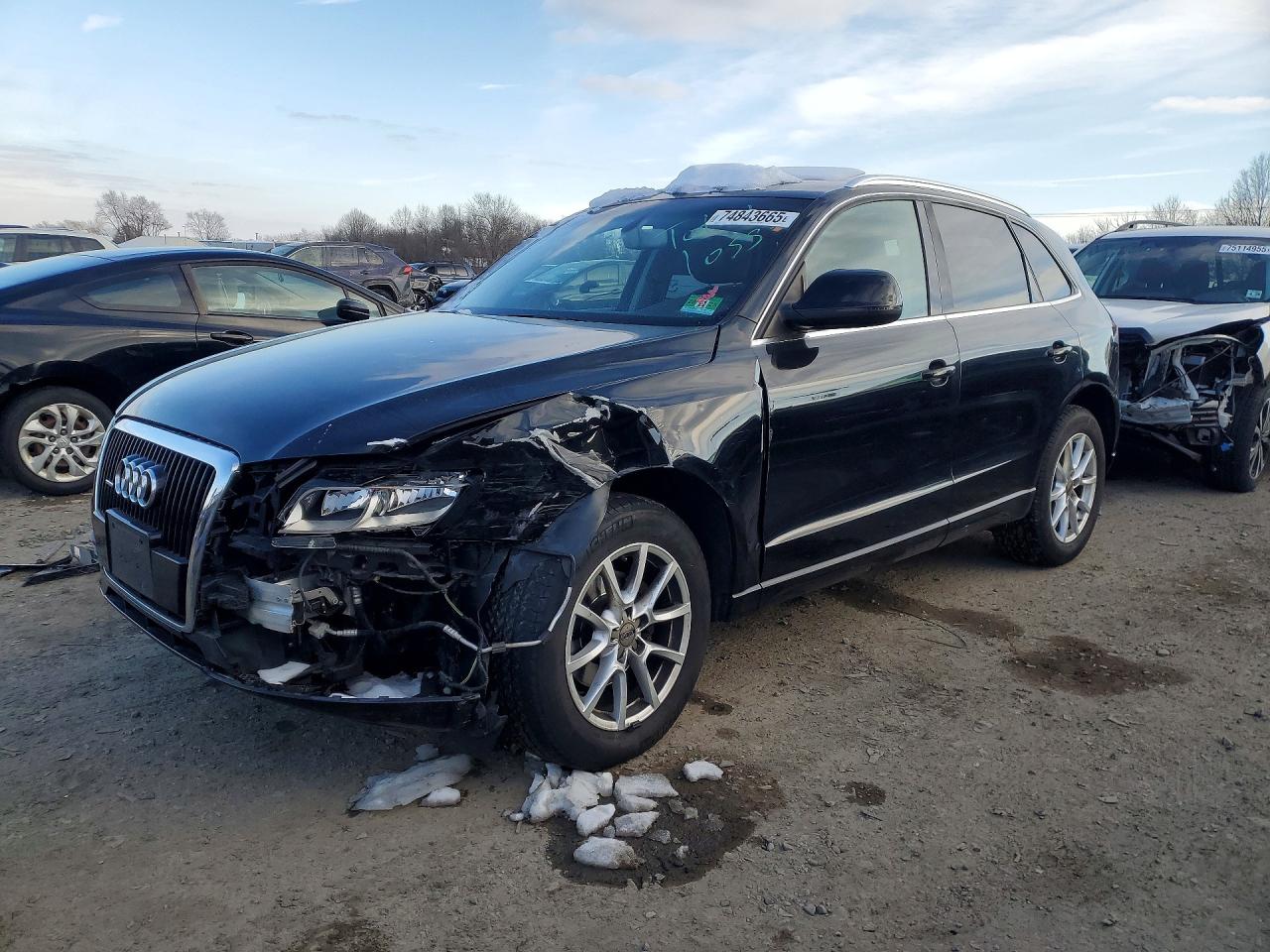 Salvage Audi Q5 Image