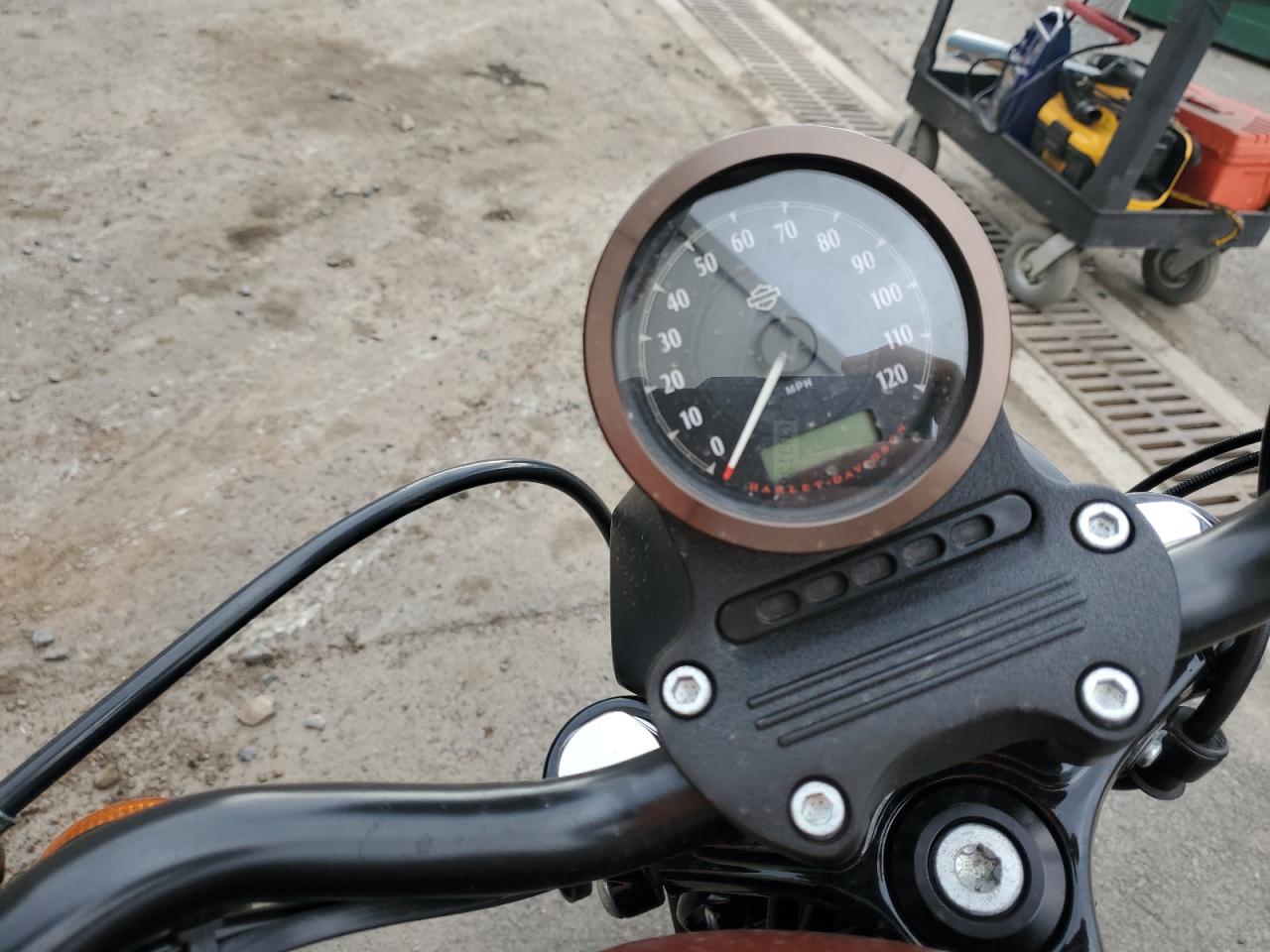 Harley-Davidson Xl Iron 883