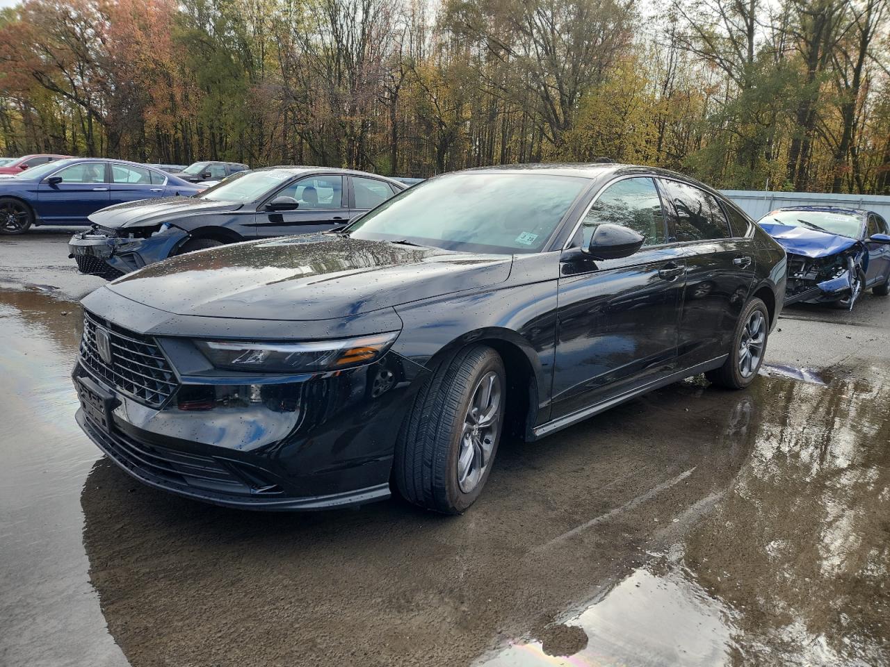 Salvage Honda Accord Image