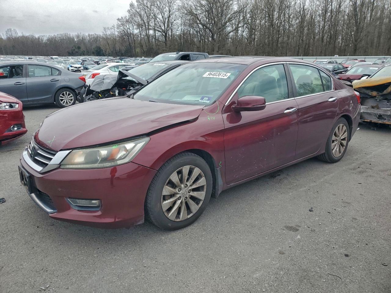 Salvage Honda Accord Image