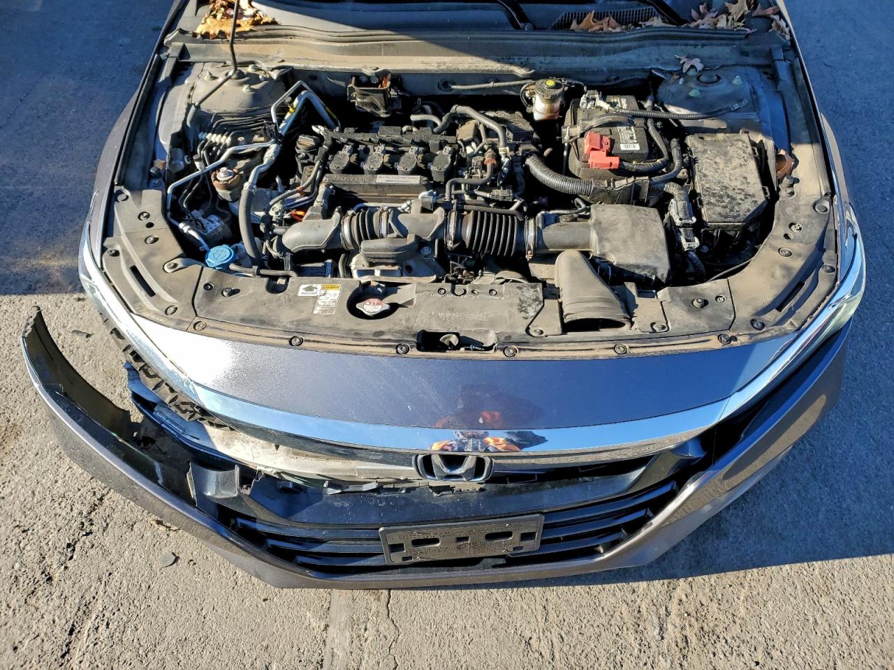 Honda Accord Exl