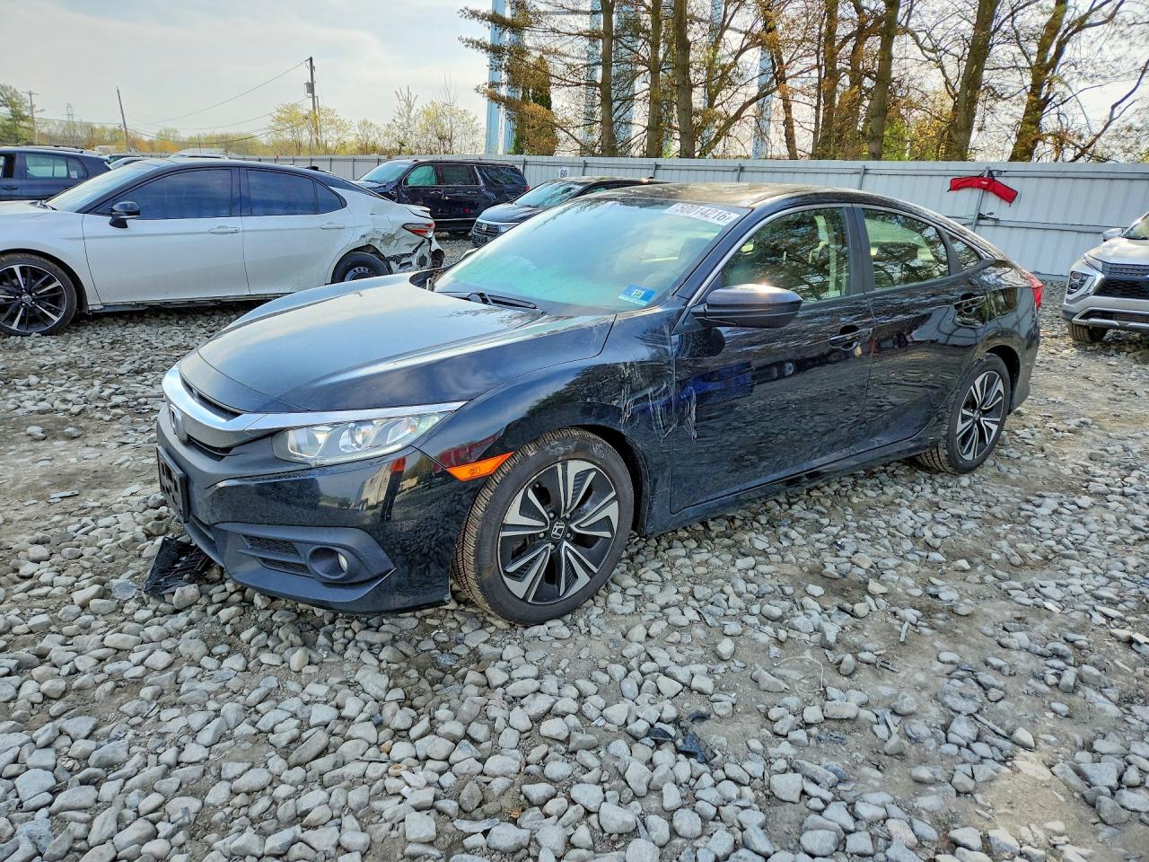 Salvage Honda Civic Image