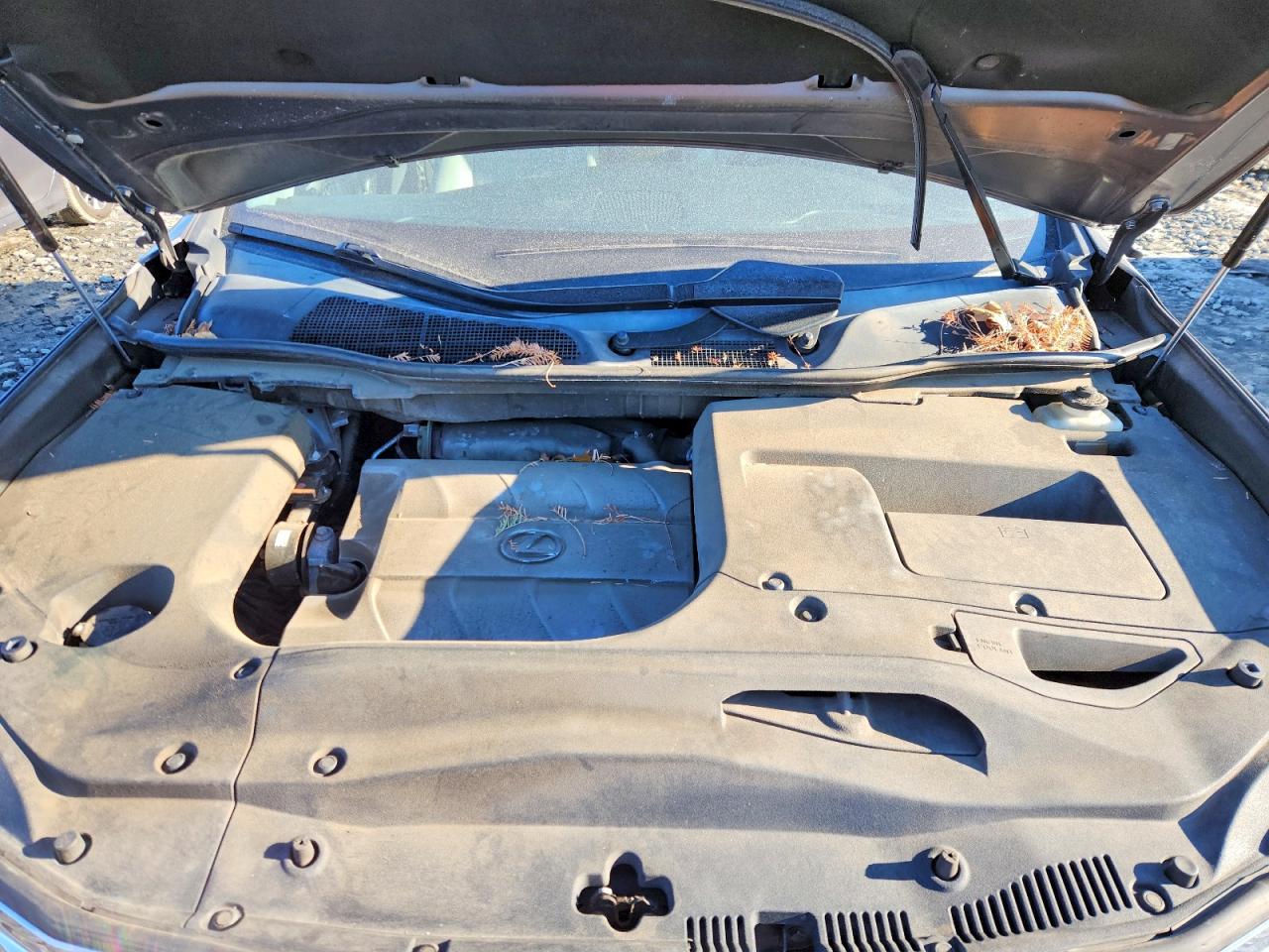 Lexus RX Base