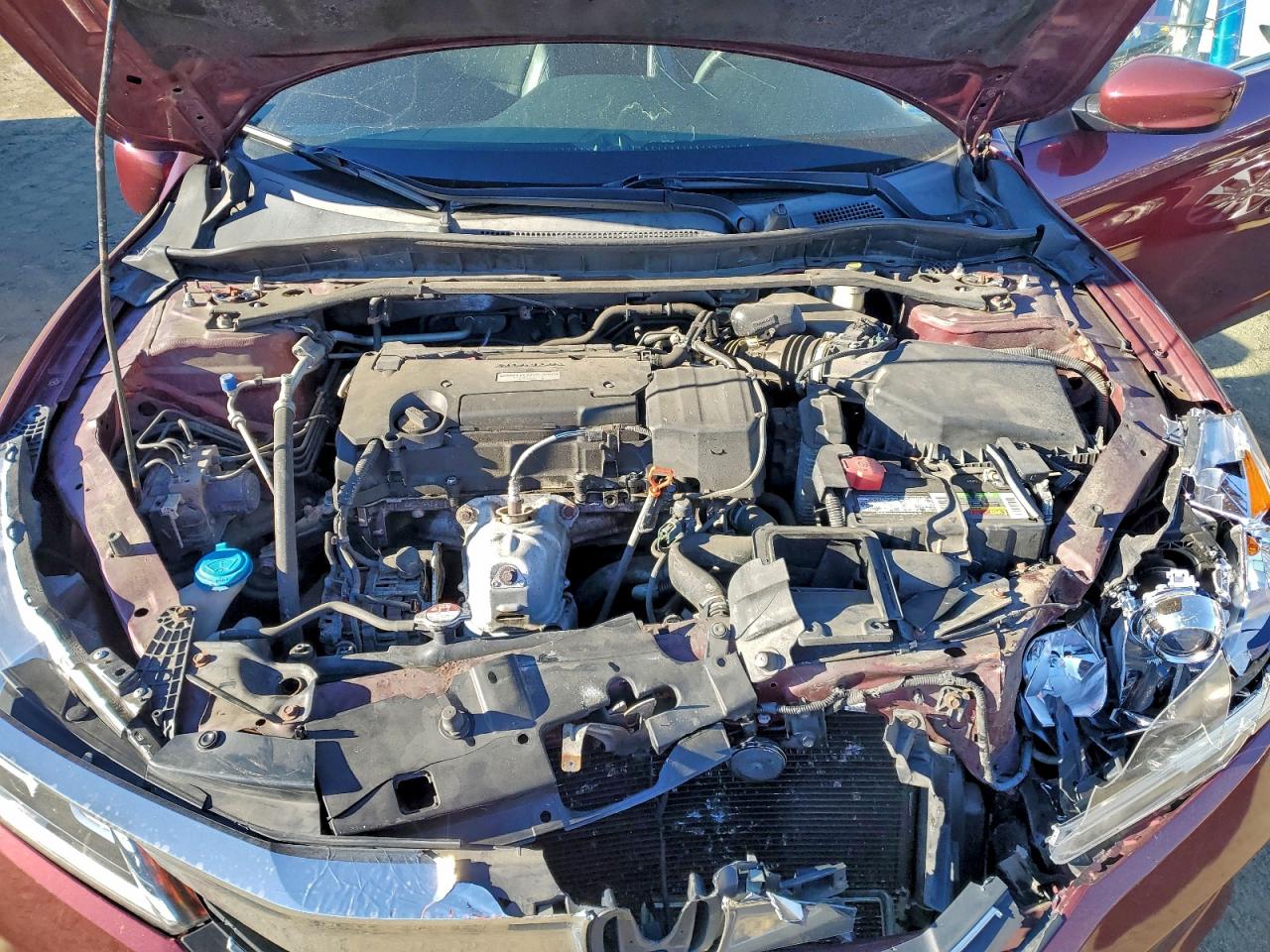 Honda Accord Sport