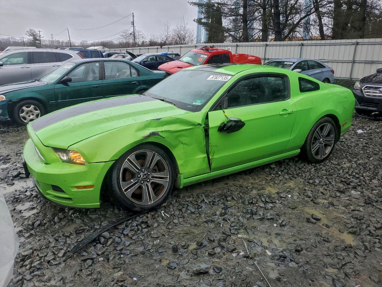 Salvage Ford Mustang Image