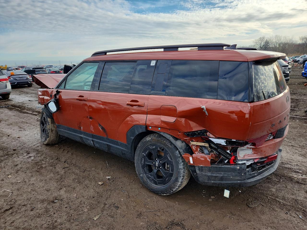 Hyundai SANTA FE Xrt
