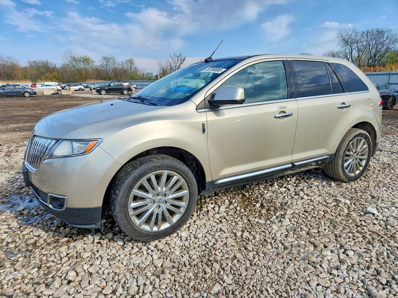 Salvage Lincoln MKX Image