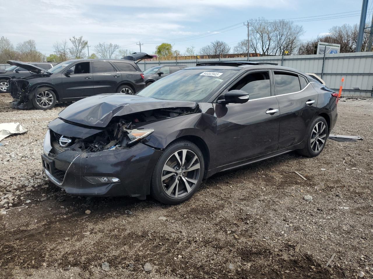 Salvage Nissan Maxima Image