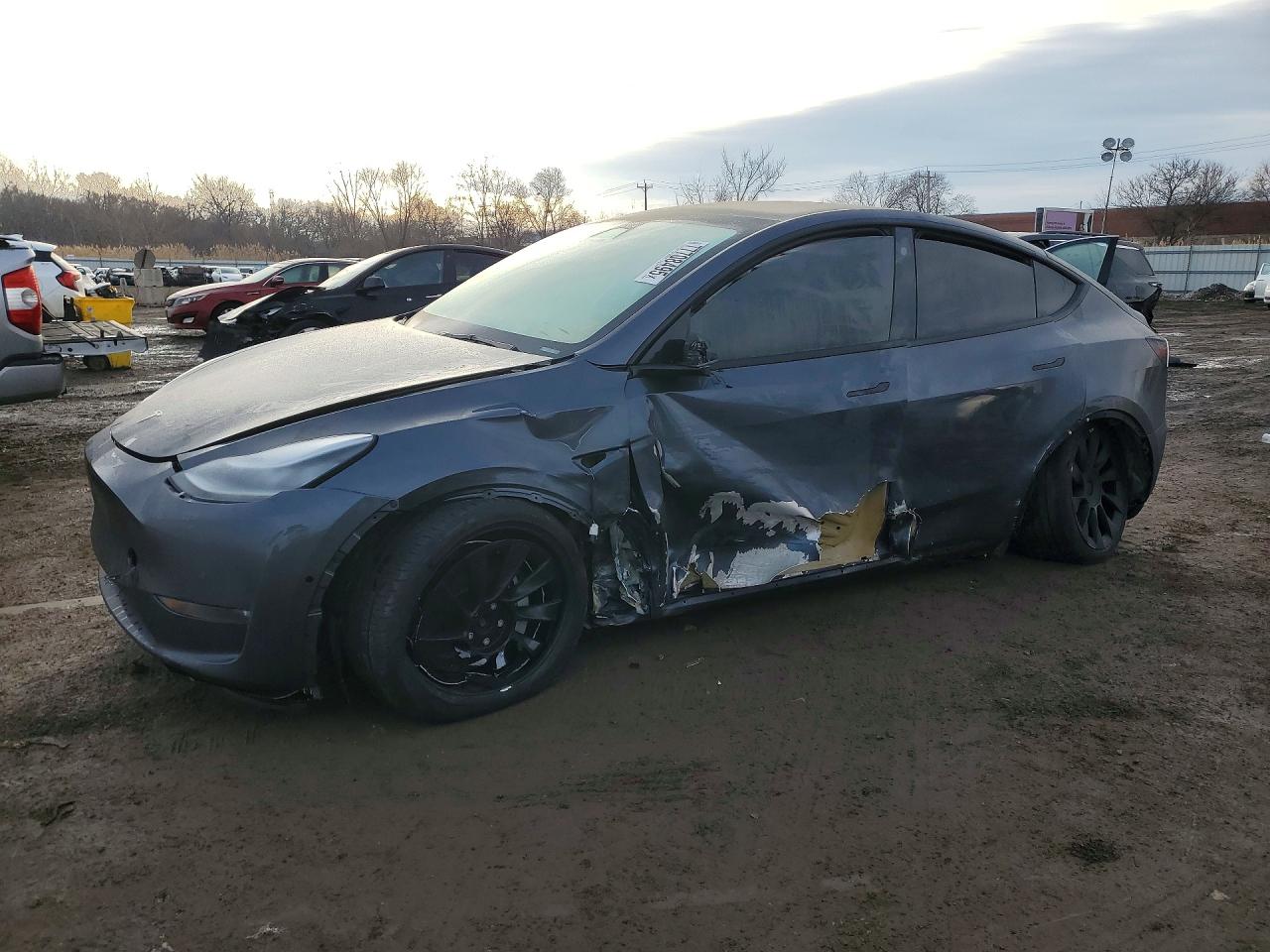 Salvage Tesla Model Y Image