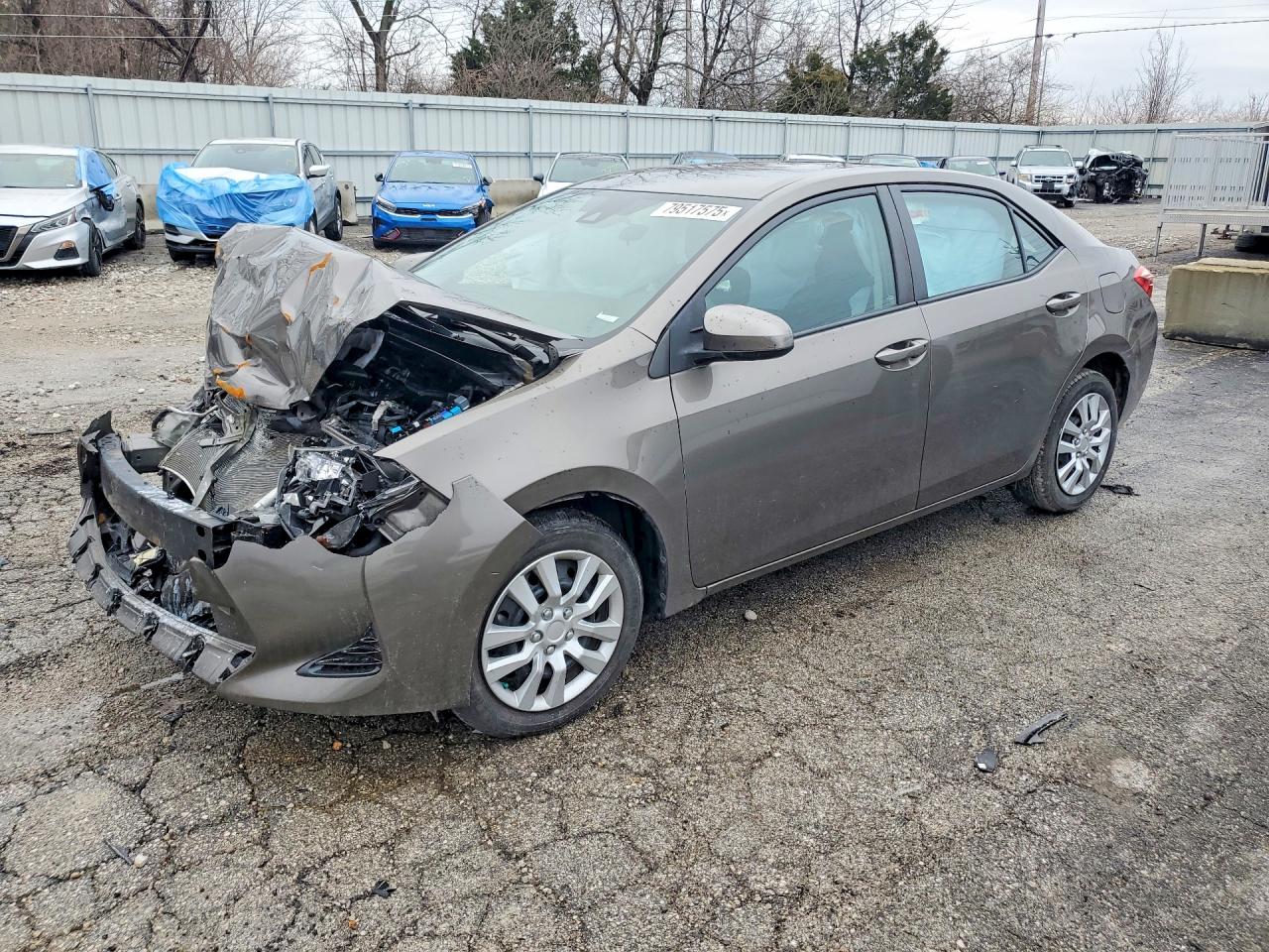 Salvage Toyota Corolla Image