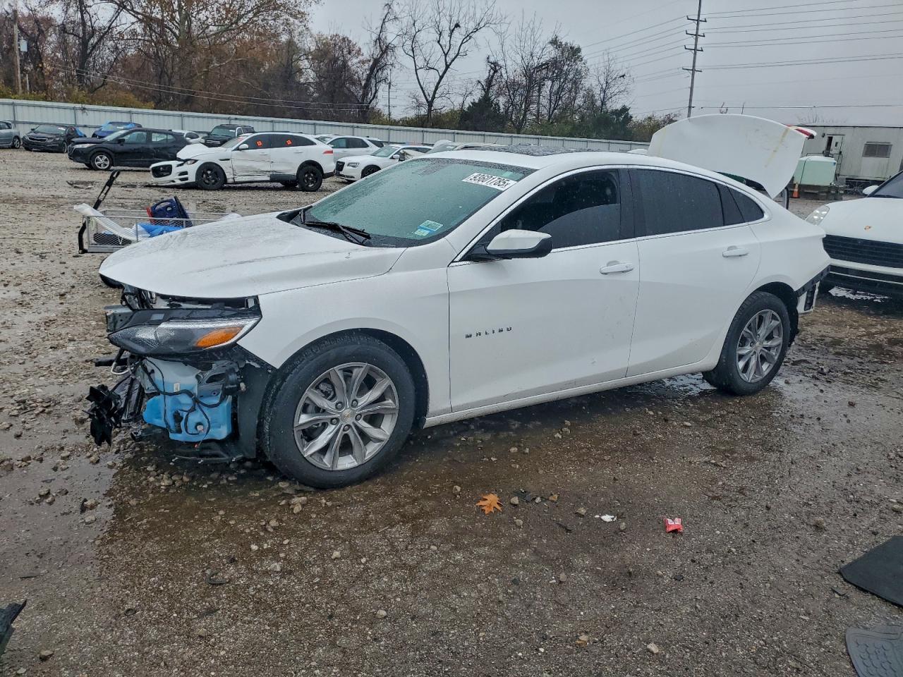 Salvage Chevrolet Malibu Image