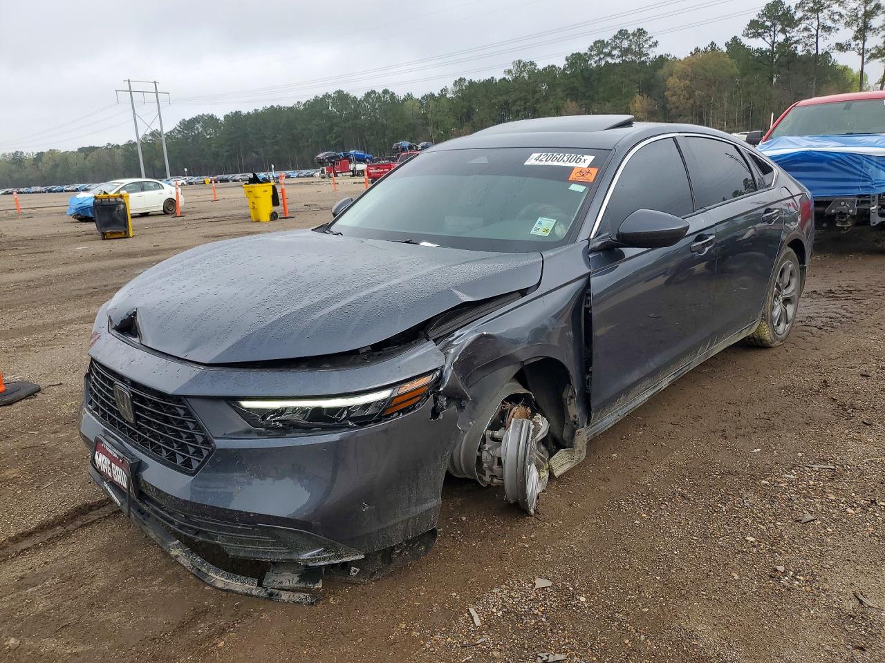 Salvage Honda Accord Image