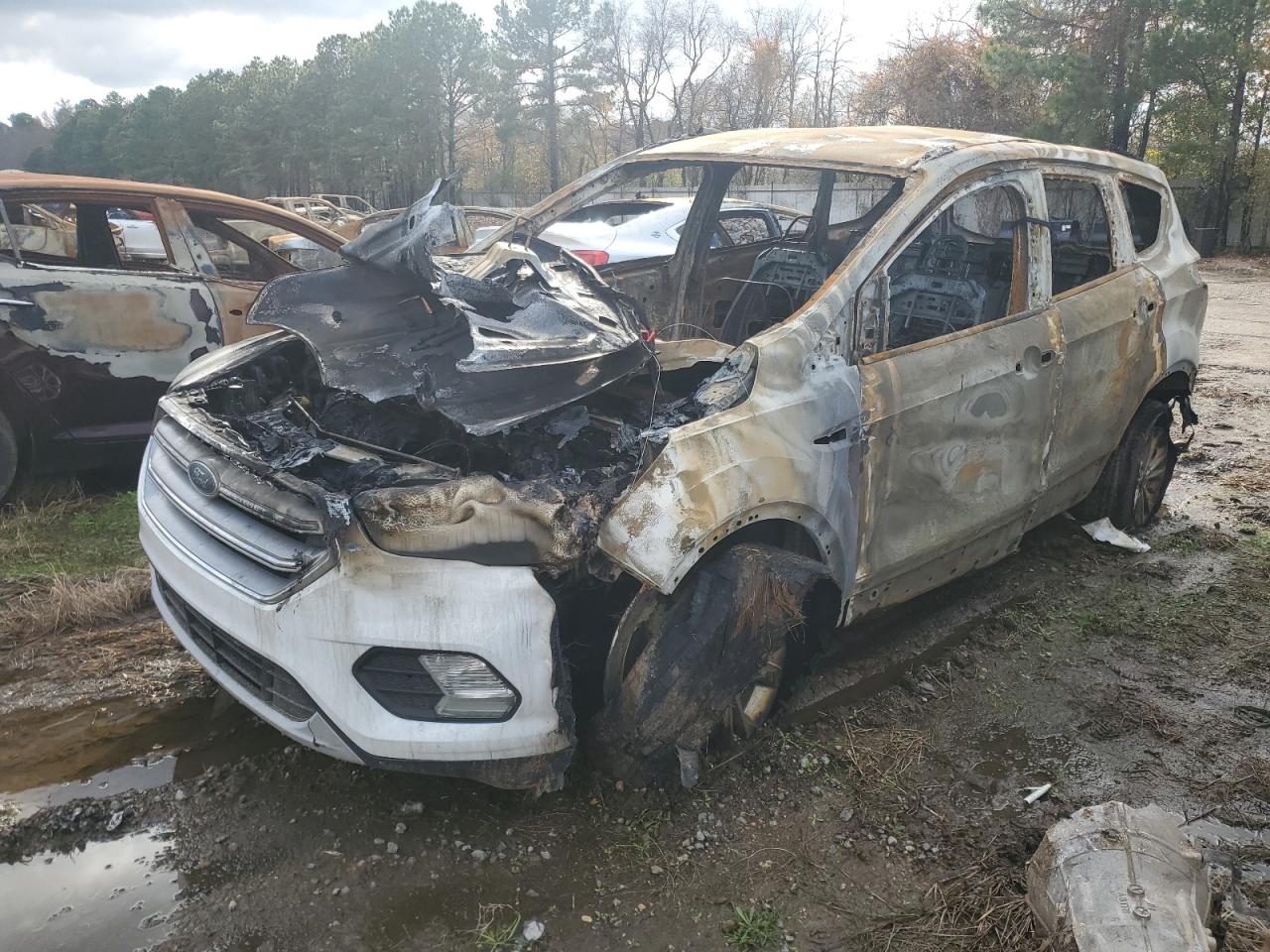 Salvage Ford Escape Image