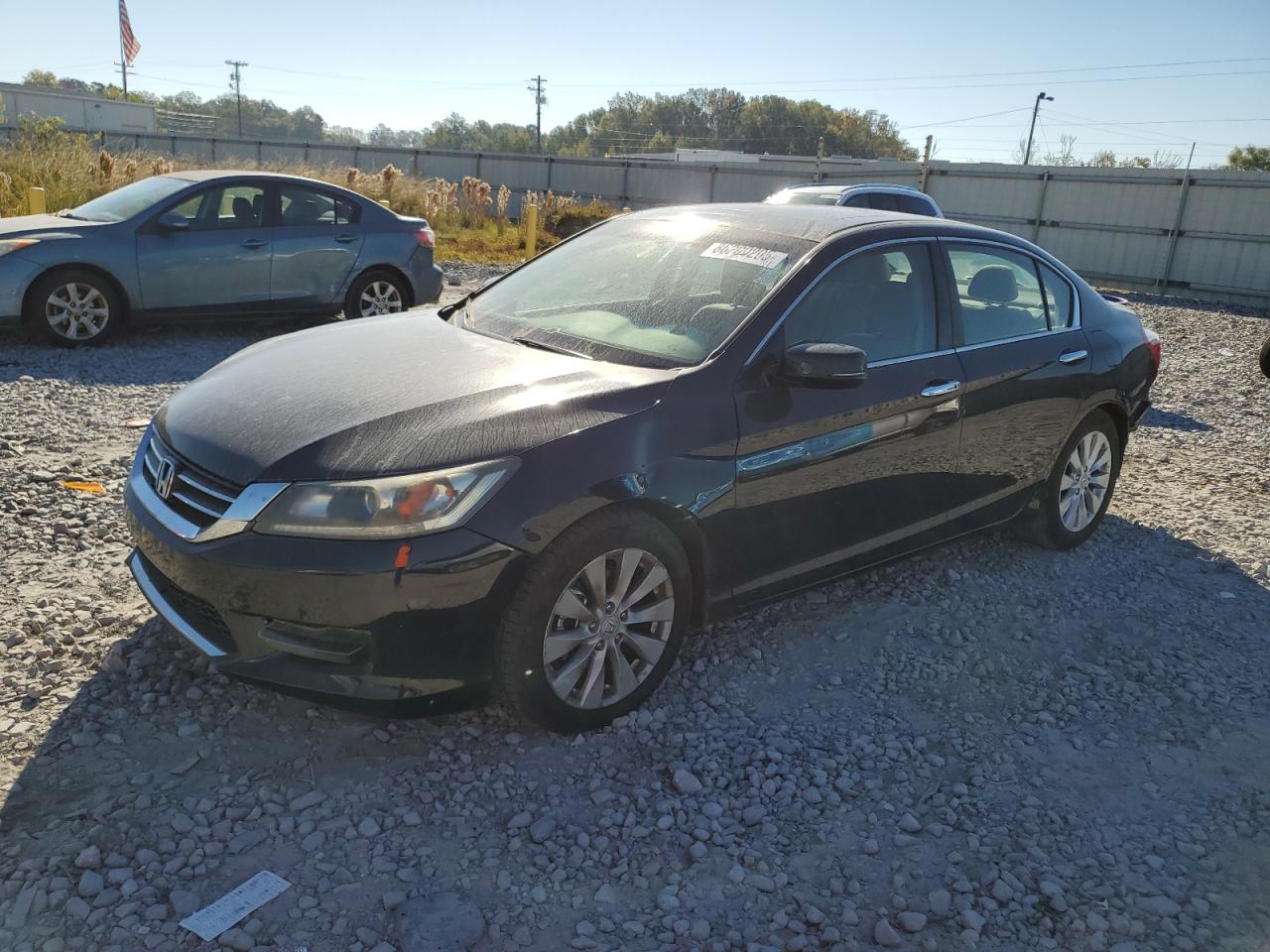Salvage Honda Accord Image