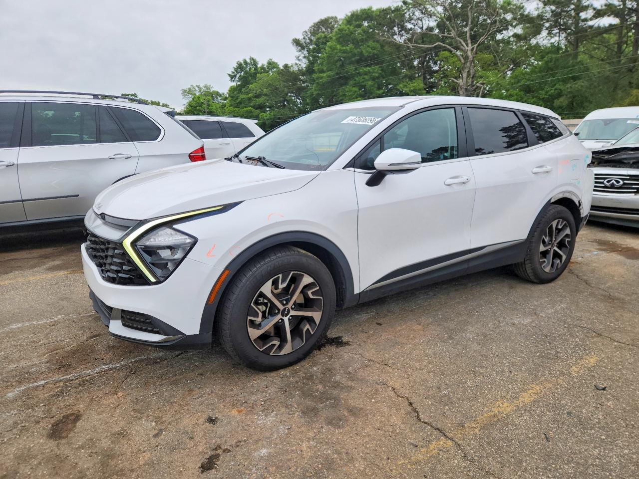 Salvage Kia Sportage Image