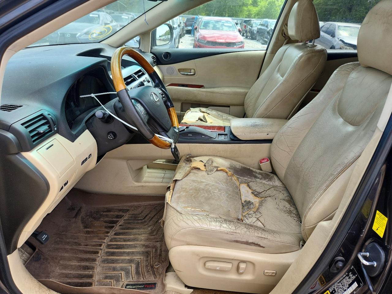 Lexus RX Base