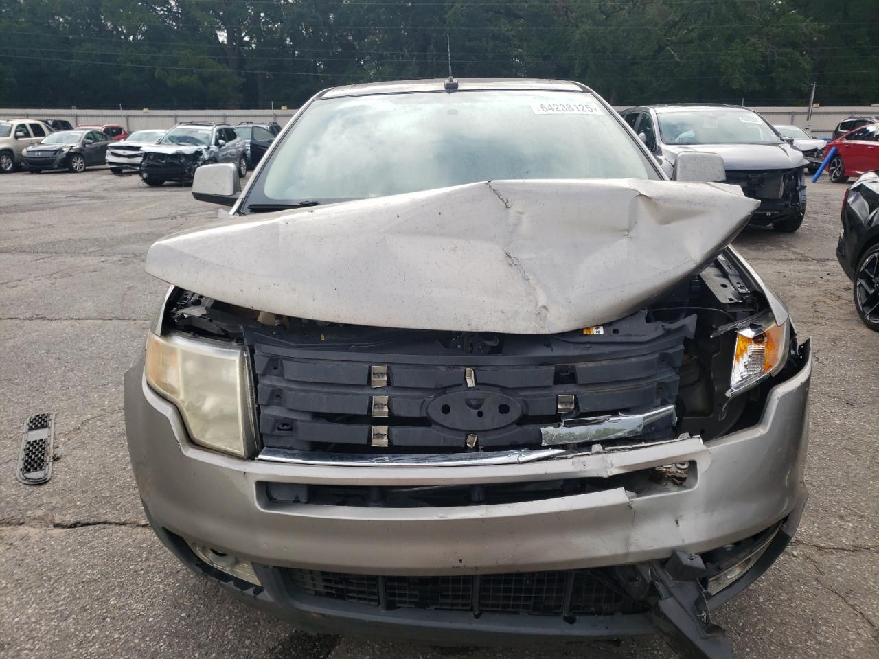 Ford Edge Sel