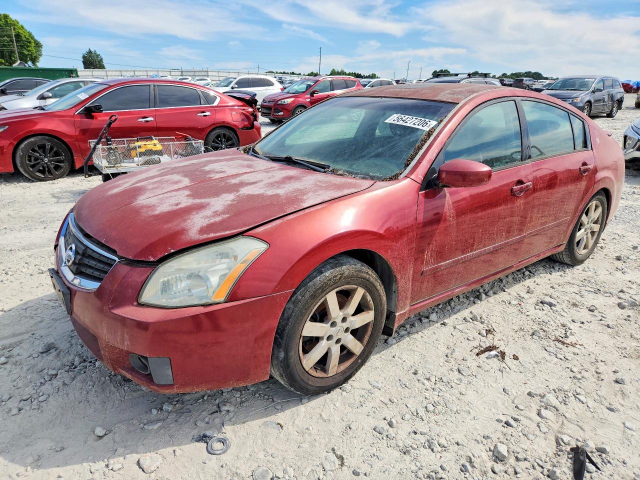 Salvage Nissan Maxima Image