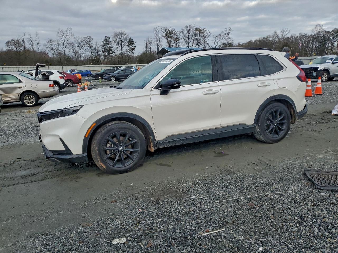 Salvage Honda Crv Image