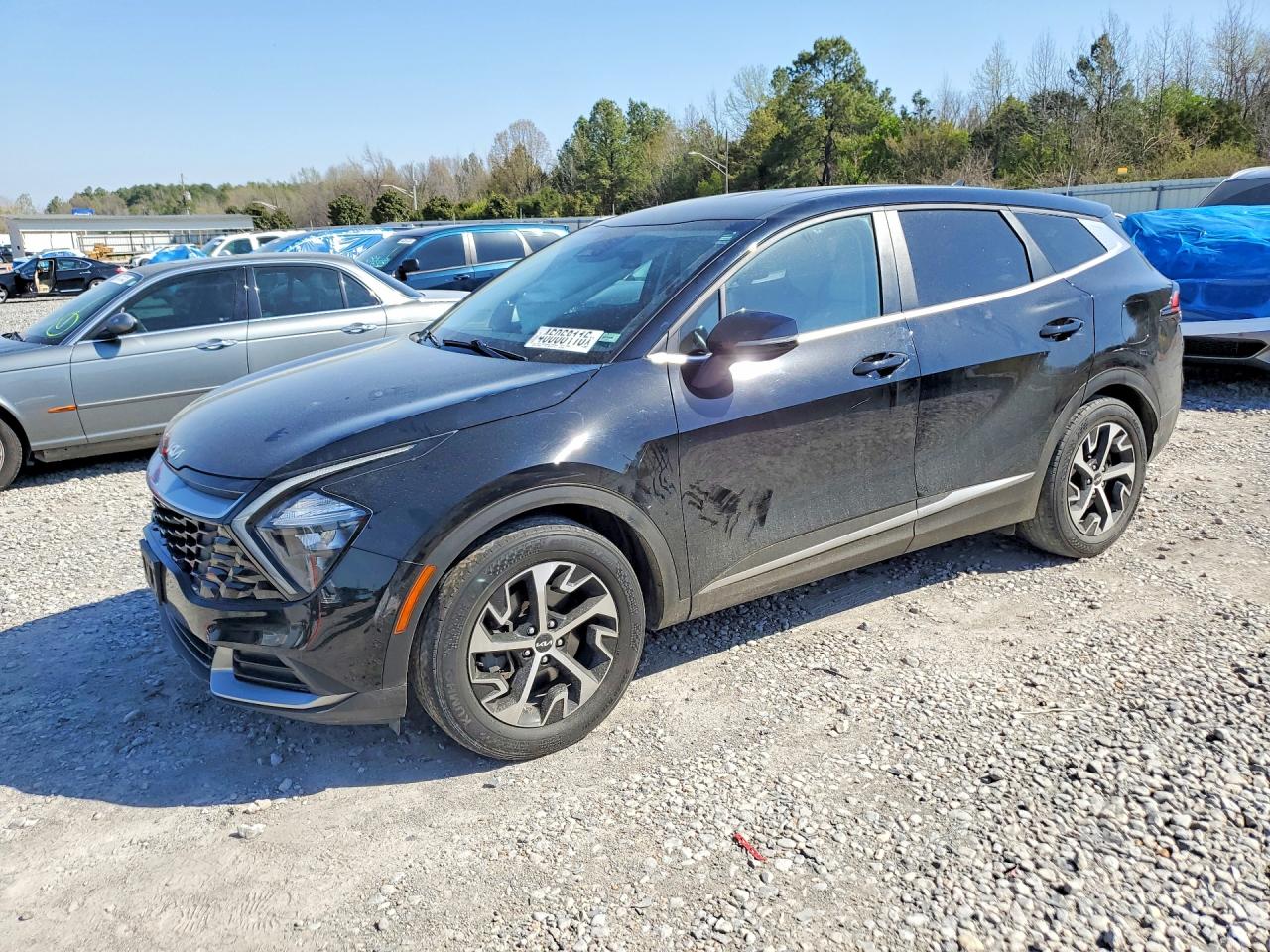 Salvage Kia Sportage Image
