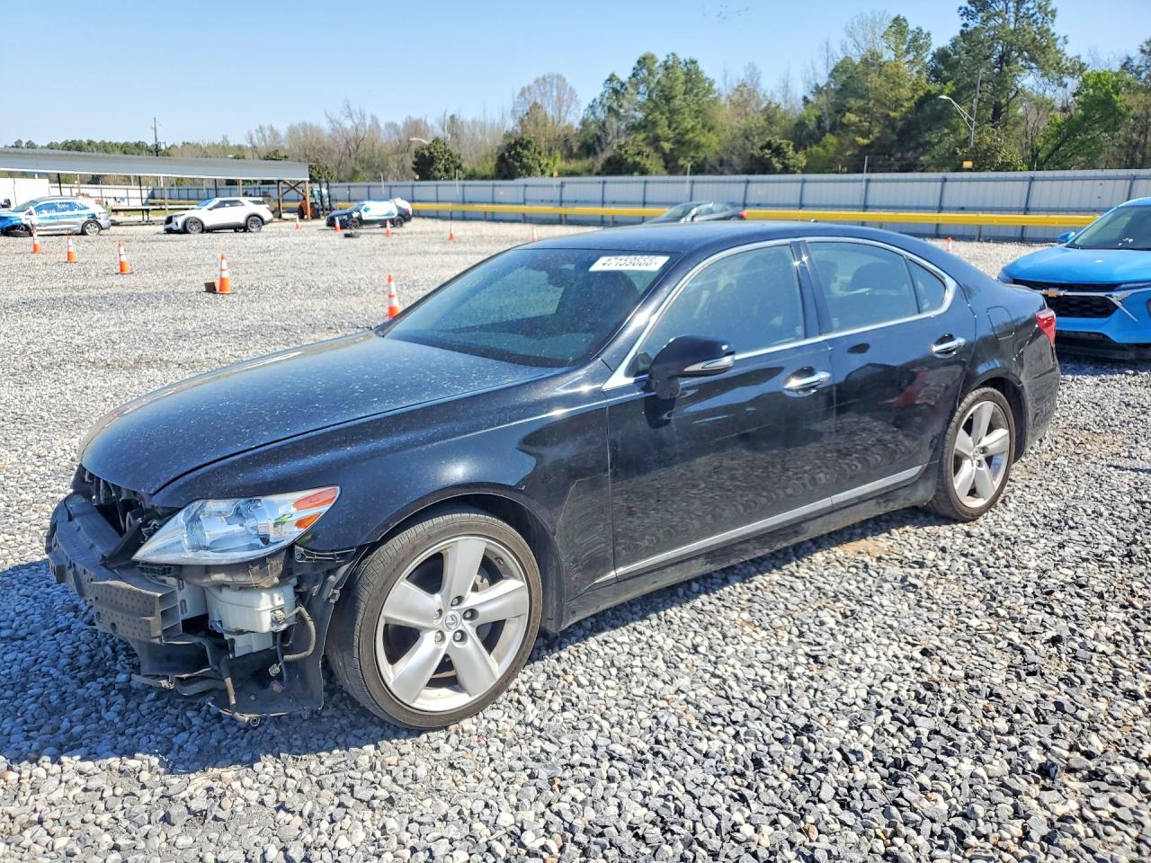Salvage Lexus LS Image
