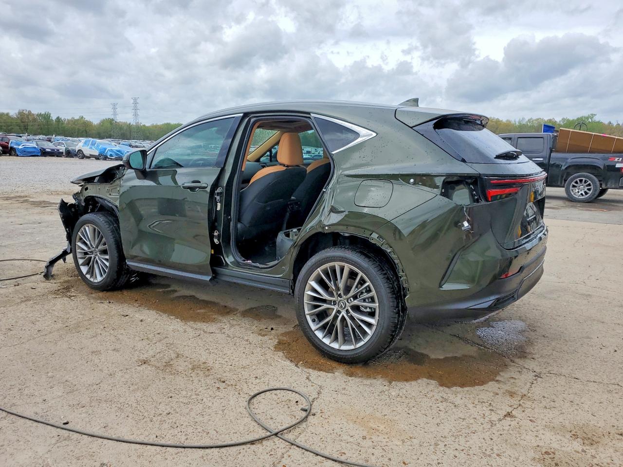 Lexus NX Luxury
