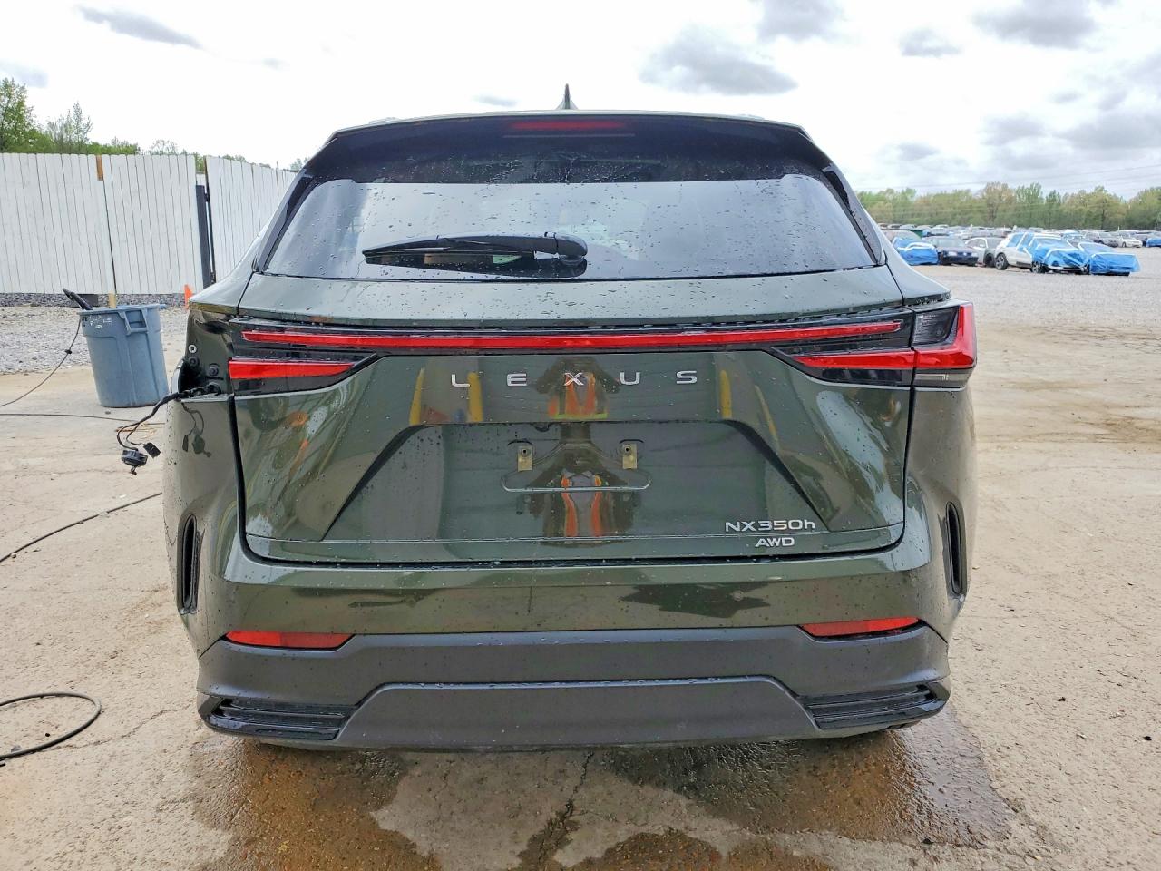 Lexus NX Luxury