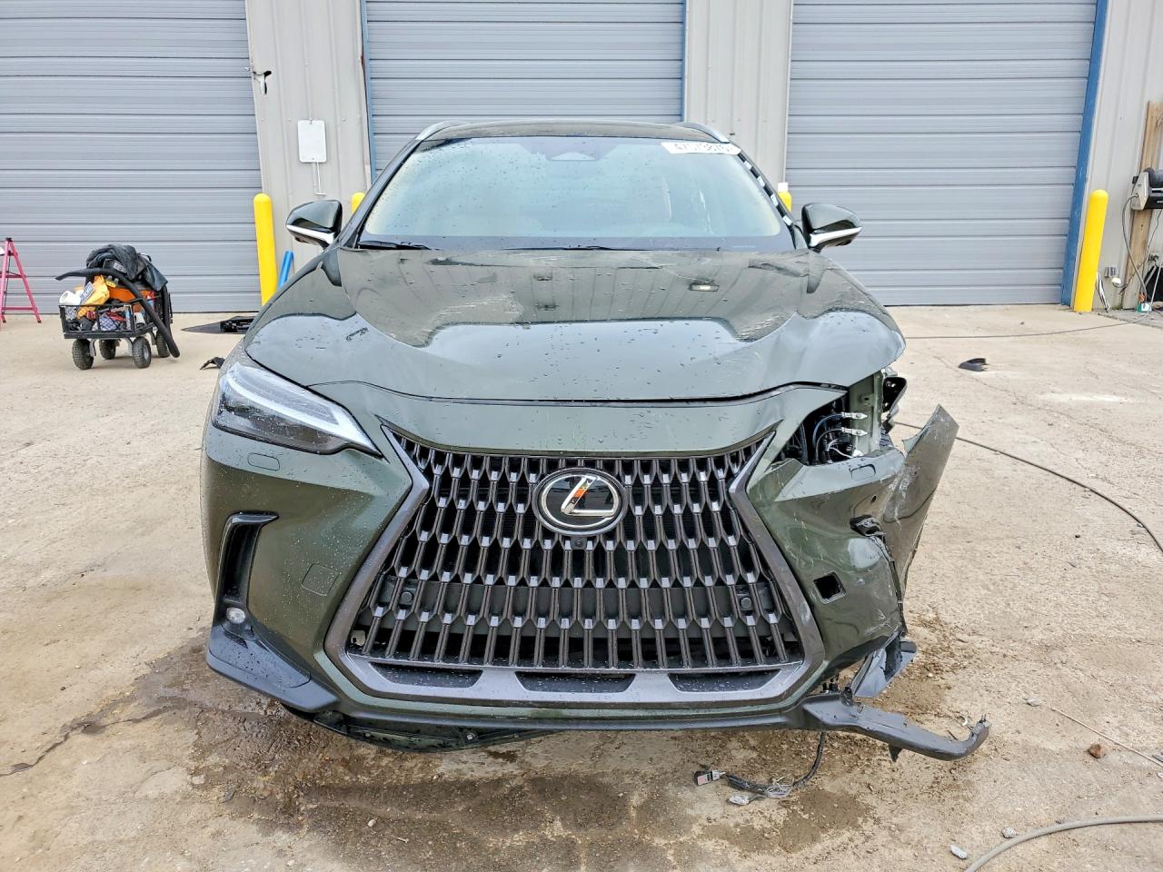 Lexus NX Luxury
