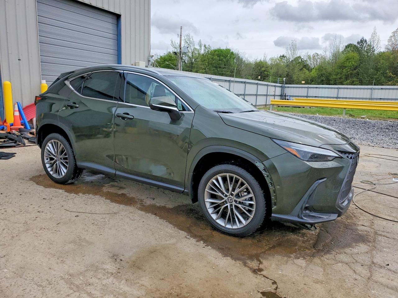 Lexus NX Luxury