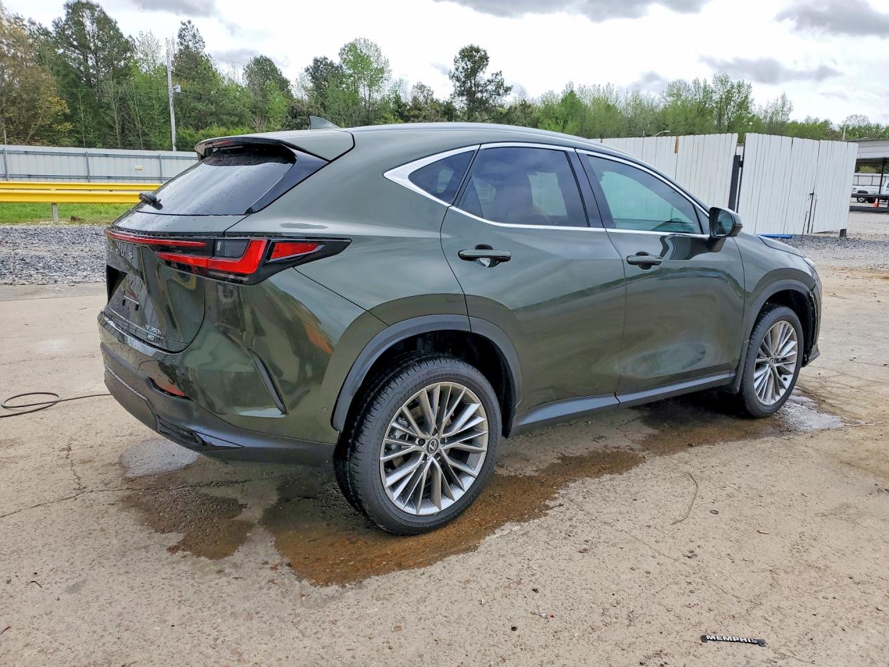Lexus NX Luxury