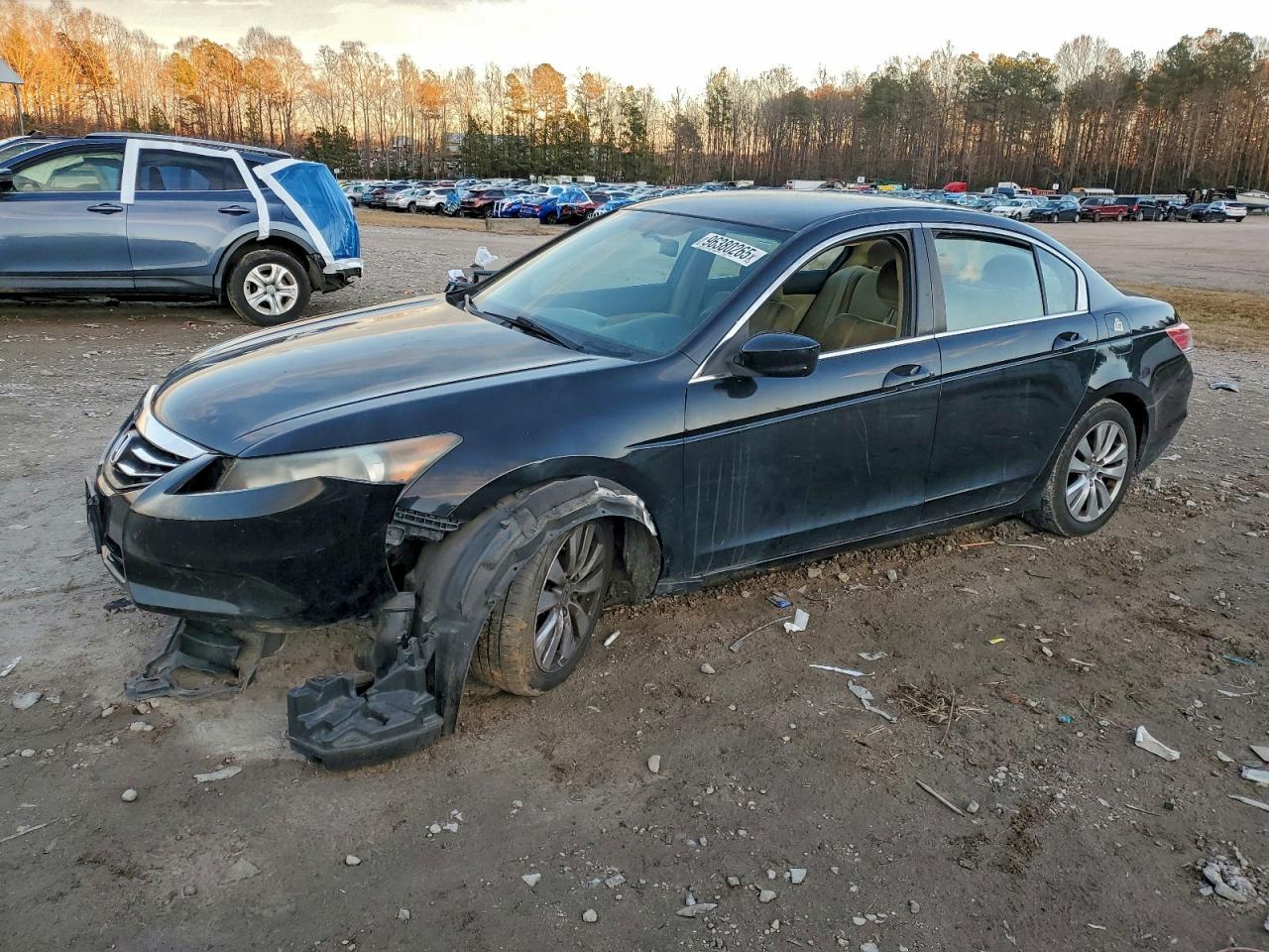 Salvage Honda Accord Image