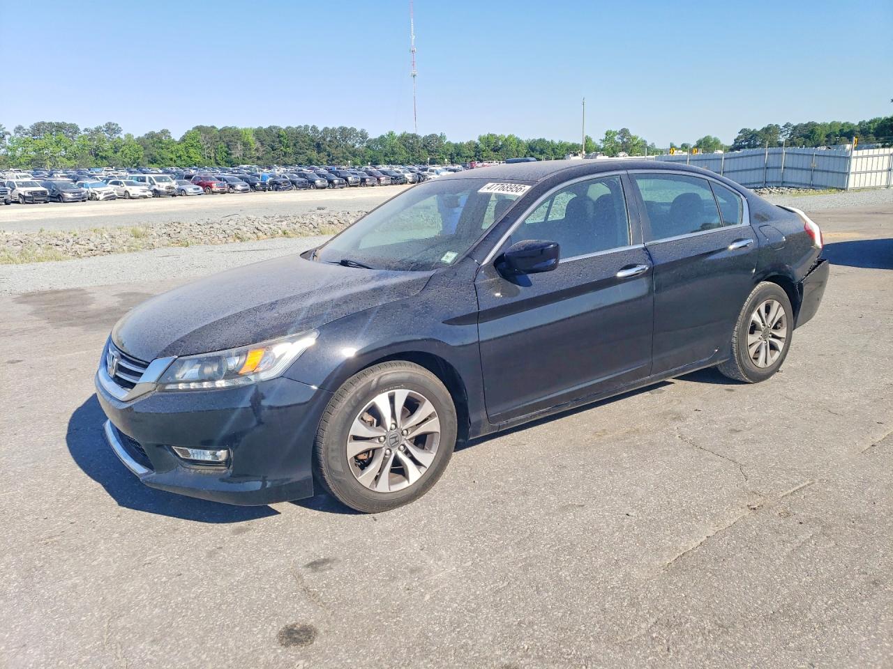 Salvage Honda Accord Image