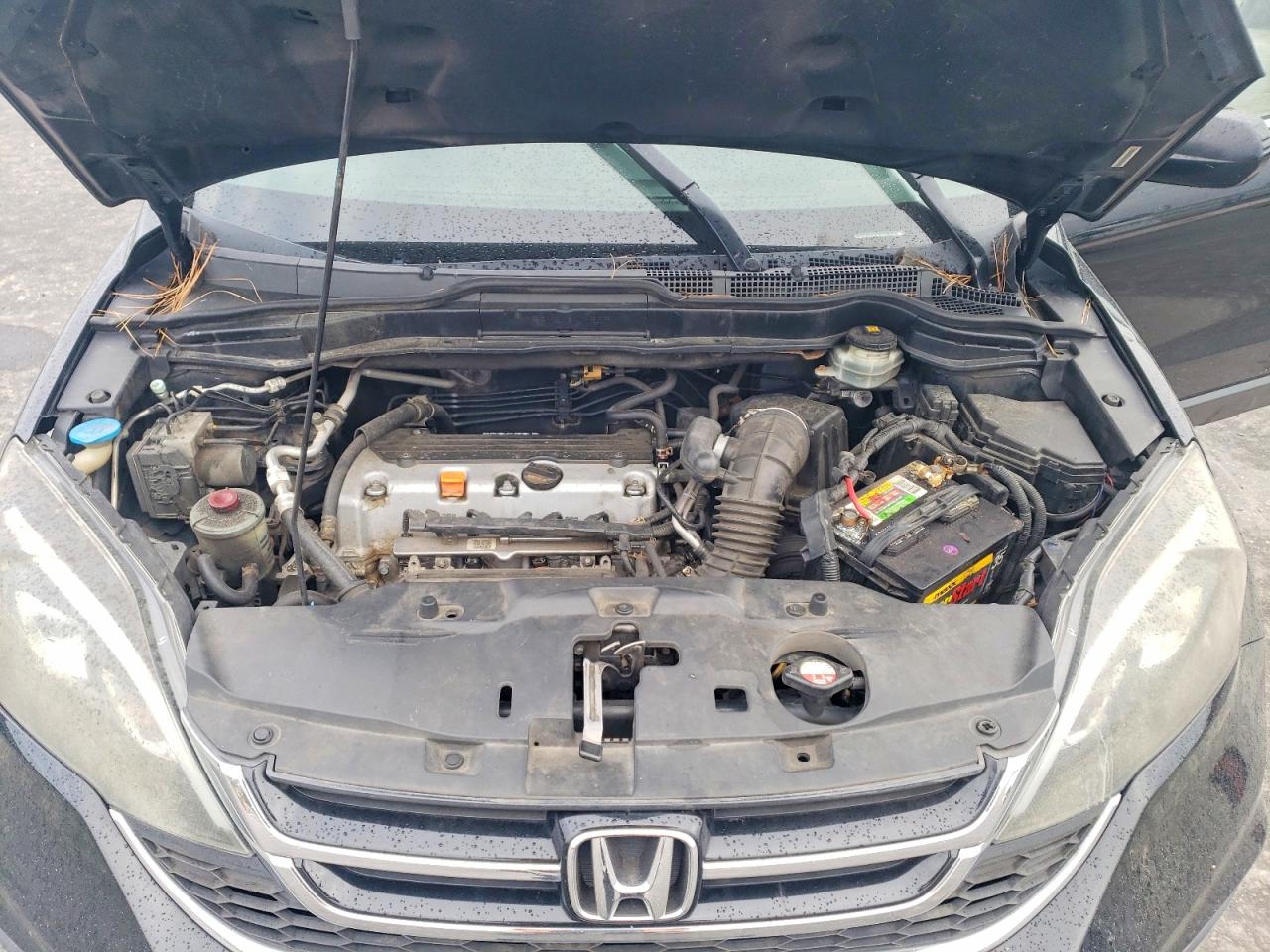 Honda Crv