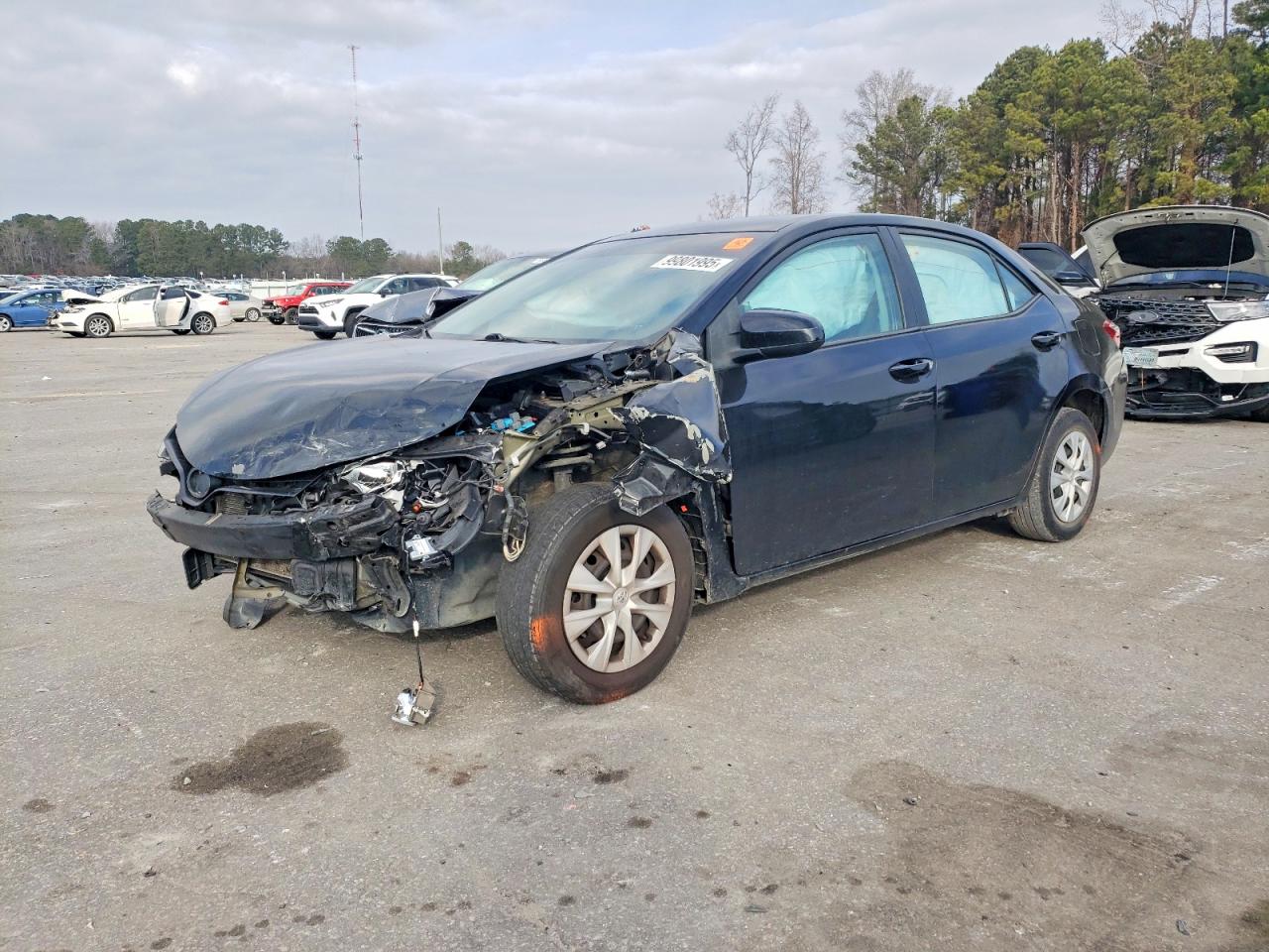 Salvage Toyota Corolla Image
