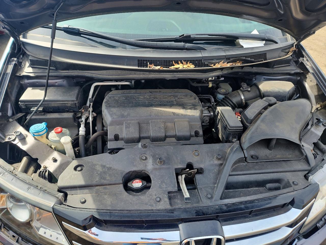 Honda Odyssey Exl