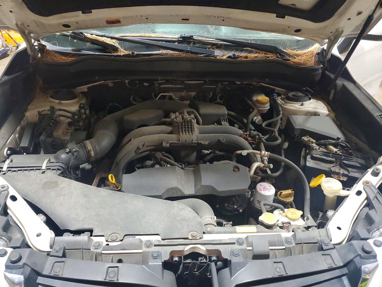 Subaru Forester 2.5i Premium