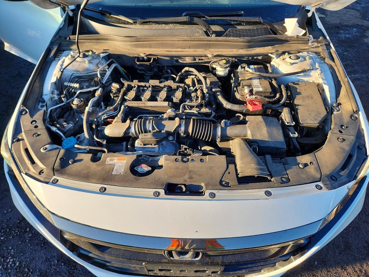 Honda Accord Sport