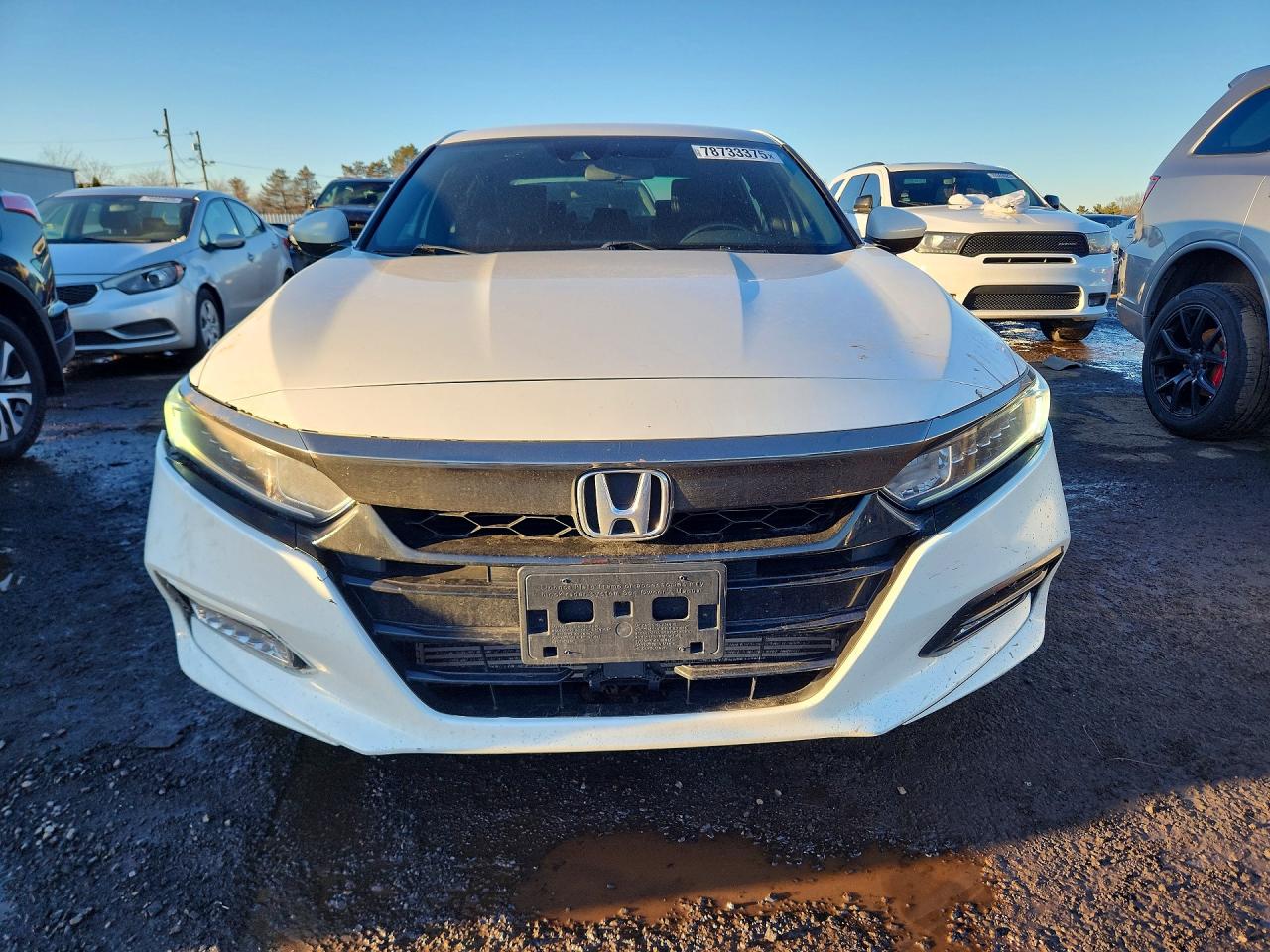 Honda Accord Sport
